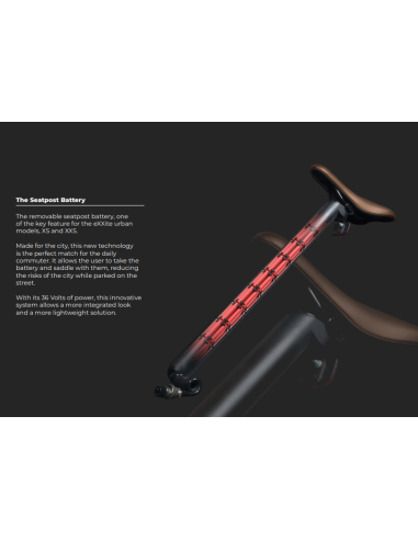 RAYVOLT BIKE XS WOMEN 250W AVEC BAT 36V 15A (RAYVOLT PREMIUM E BIKE) | E-bike - Vélos | Cendres de Lune - SARL ROBA Ajaccio