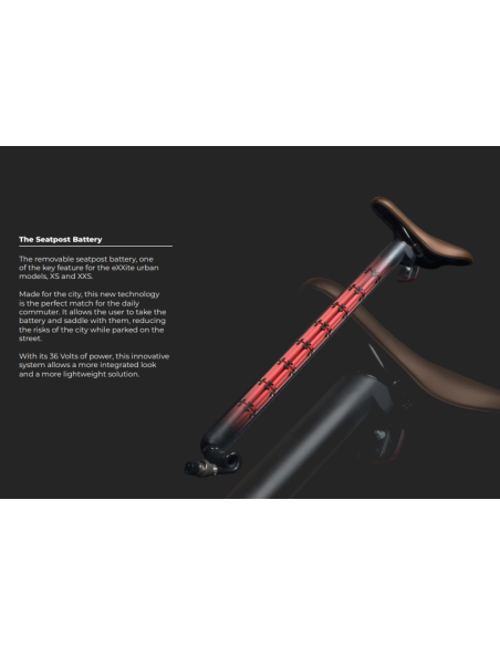 RAYVOLT BIKE XS WOMEN 250W AVEC BAT 36V 15A (RAYVOLT PREMIUM E BIKE) | E-bike - Vélos | Cendres de Lune - SARL ROBA Ajaccio