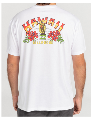 BILLABONG ARCH DREAMY PLACE T-SHIRT (BILLABONG AUTRALIA) | Accessoires - Surf | Cendres de Lune - SARL ROBA Ajaccio
