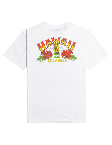 BILLABONG ARCH DREAMY PLACE T-SHIRT (BILLABONG AUTRALIA) | Accessoires - Surf | Cendres de Lune - SARL ROBA Ajaccio