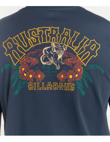 BILLABONG ARCH DREAMY PLACE T-SHIRT (BILLABONG AUTRALIA) | Accessoires - Surf | Cendres de Lune - SARL ROBA Ajaccio