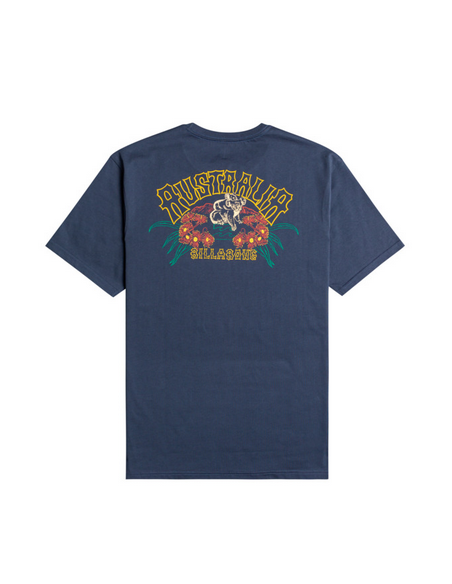 BILLABONG ARCH DREAMY PLACE T-SHIRT (BILLABONG AUTRALIA) | Accessoires - Surf | Cendres de Lune - SARL ROBA Ajaccio