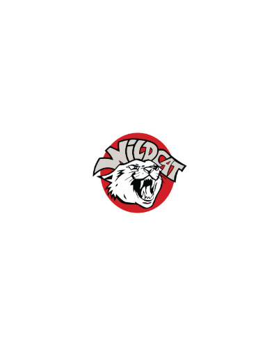 PYZEL WILD CAT 5'8 19"1/2 2"1/2 30L TWIN HIGH PERF (PYZEL SURFBOARD) | Board (Planches de surf) - Surf | Cendres de Lune - SARL