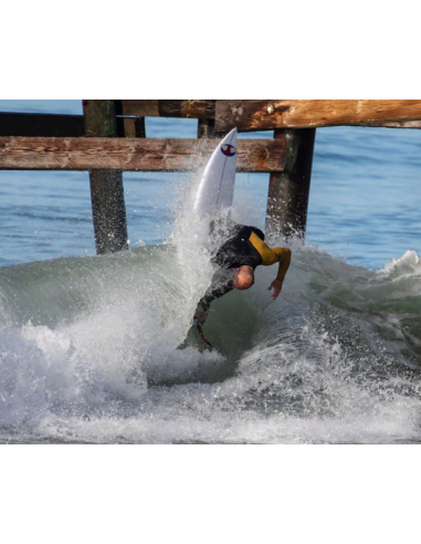CAPTAIN FINS ARCHY (MATT ARCHBOLD)